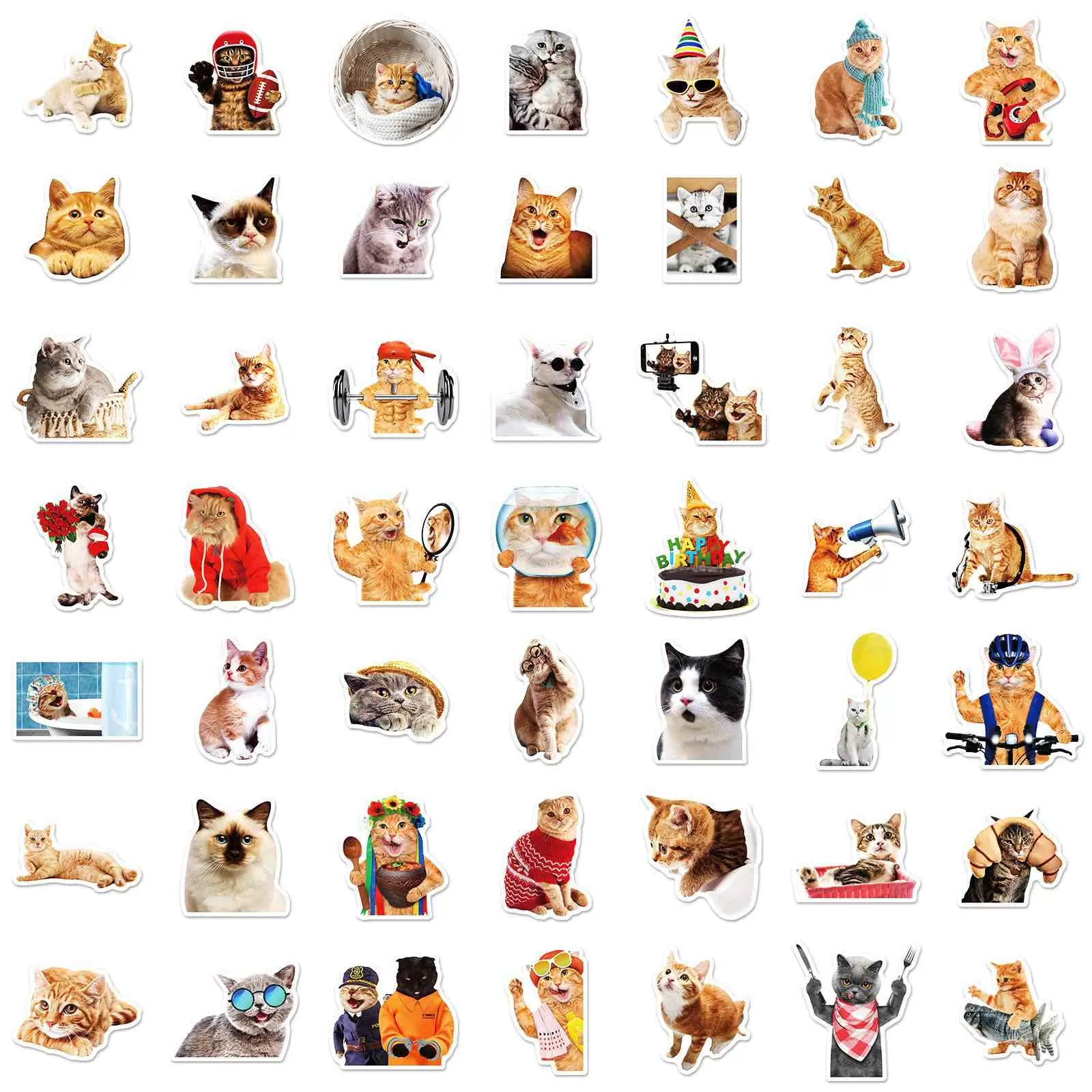 JIELEN 50 PCS Cute Realistic Cat Sticker