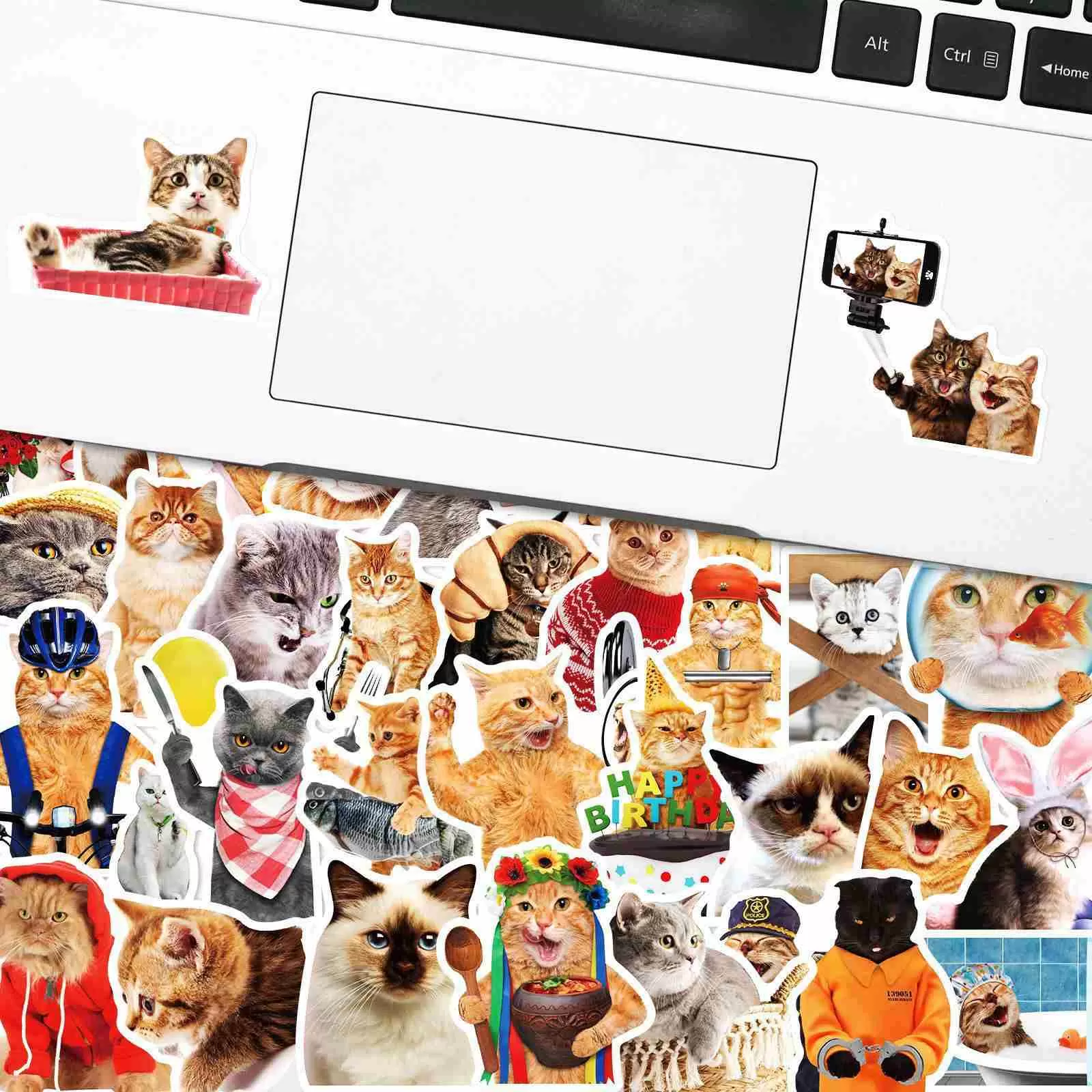 JIELEN 50 PCS可爱逼真的猫贴纸(图表3) JIELEN 50 PCS可爱逼真的猫贴纸(图表3)