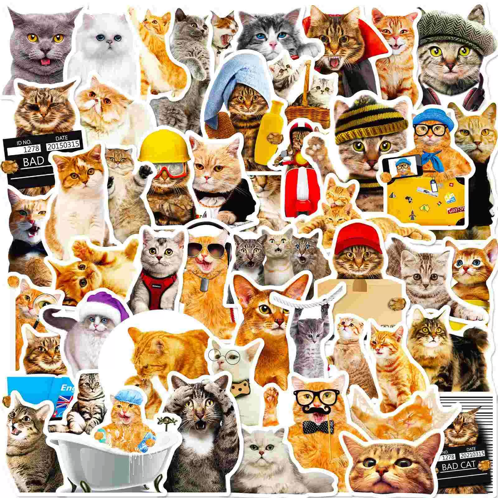 JIELEN 50 PCS有趣的猫贴纸(图表1) JIELEN 50 PCS有趣的猫贴纸(图表1)